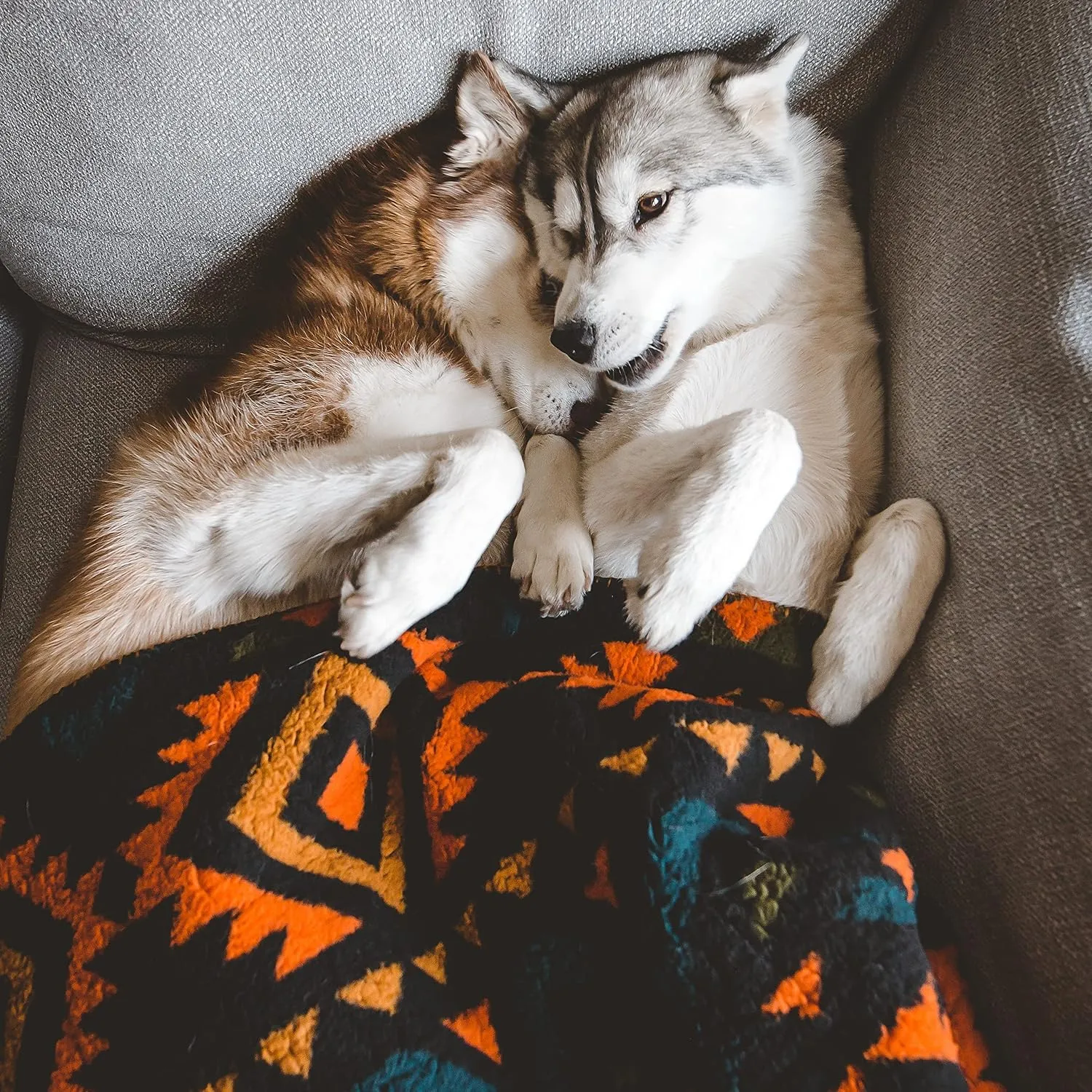 NEW Wilderdog Sherpa Fleece Waterproof Dog Blanket - 60" x 90" - Navy Retails $151 