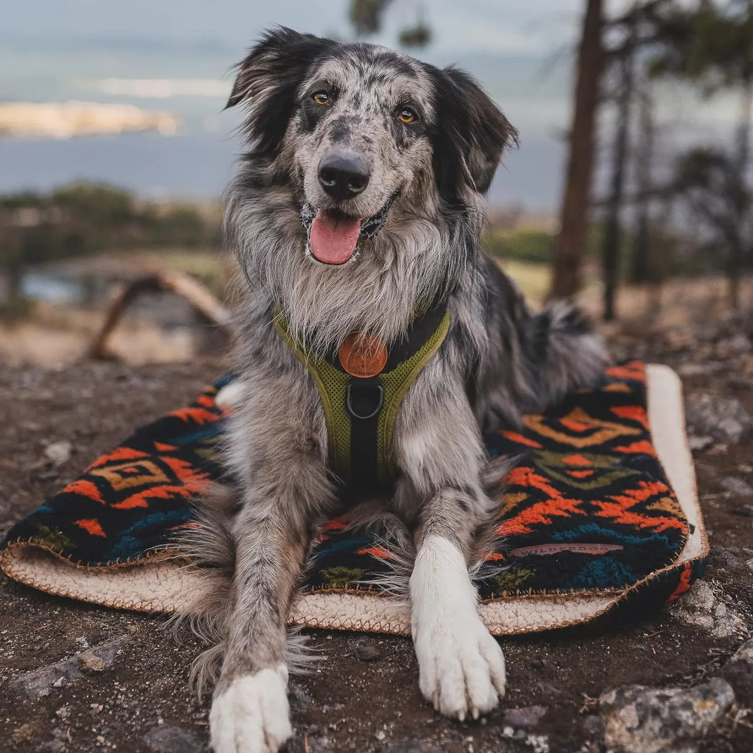 NEW Wilderdog Sherpa Fleece Waterproof Dog Blanket - 60" x 90" - Navy Retails $151 