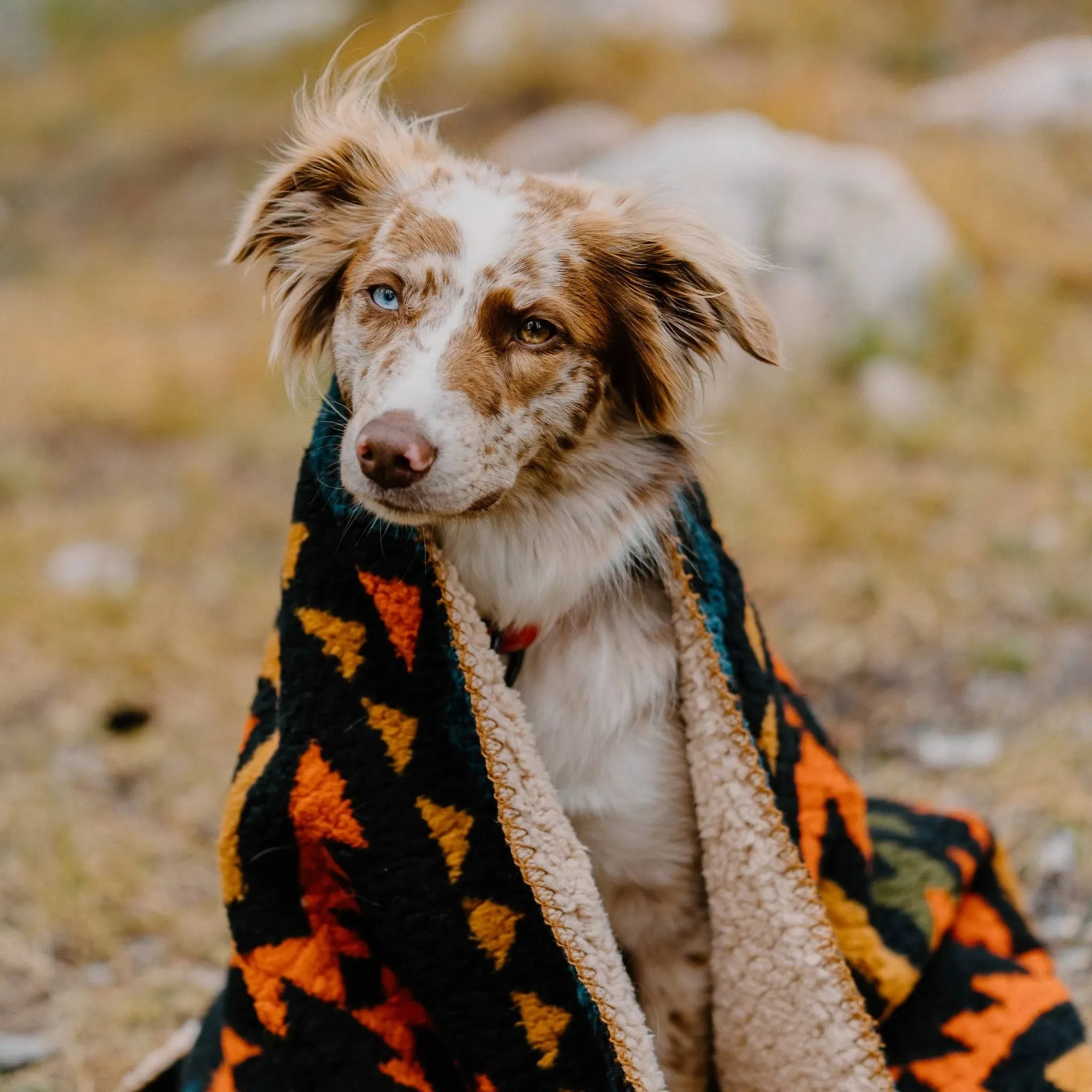 NEW Wilderdog Sherpa Fleece Waterproof Dog Blanket - 60" x 90" - Navy Retails $151 